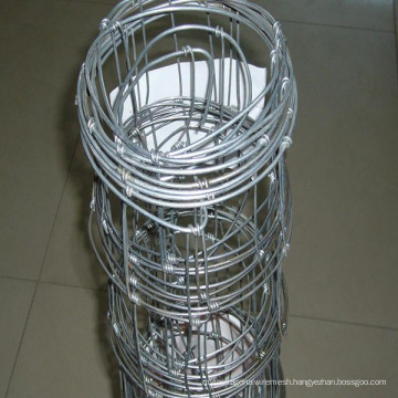 Hot Dipped Galvanized Page Wire Fence